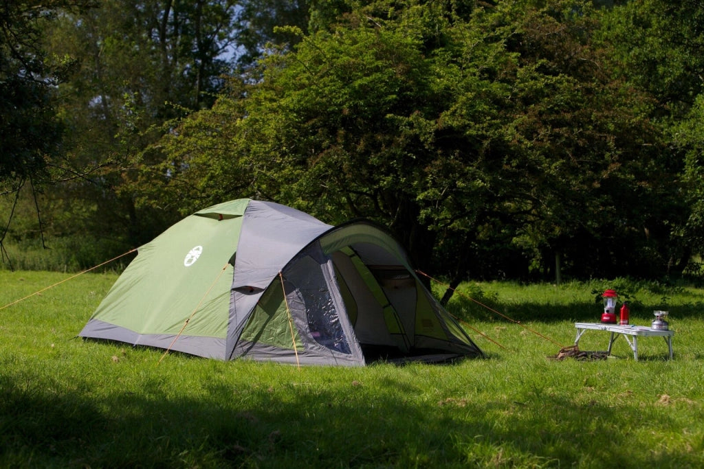 Coleman DARWIN 4 PLUS Tenda a Cupola 4 Persone 7,8 m² Impermeabile 3000 mm colore Grigio