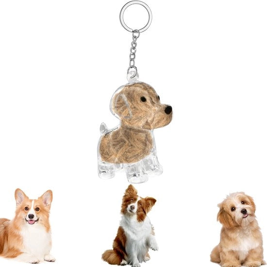 Porta chiavi con capigliatura canina - Capsula di ricordo - Ricordo per gli amanti degli animali - Cassetto di archiviazione - Materiale plastico di alta qualità - Disegno pratico - Porta chiavi ricordo