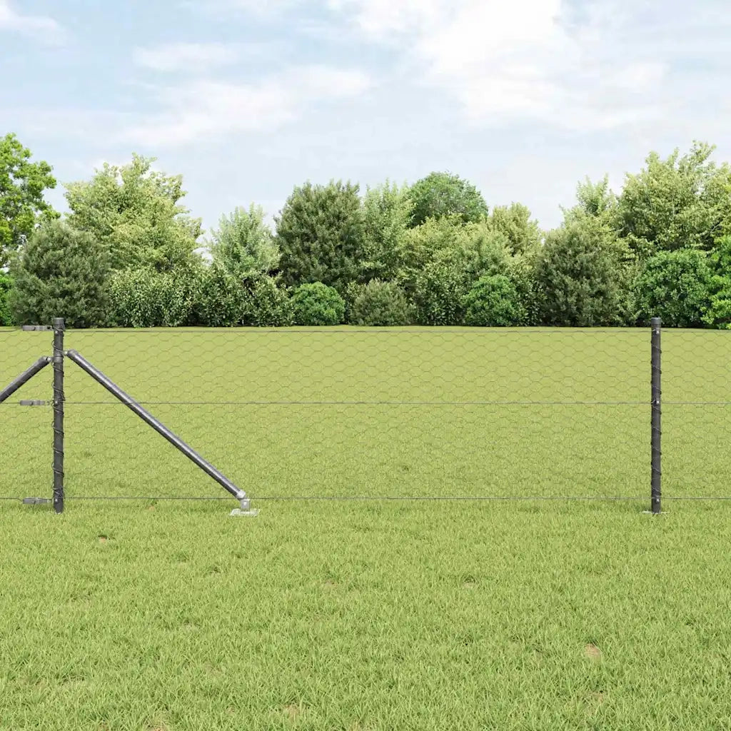 Palo della recinzione Grigio 50 x 0,6 m (maglia 36 mm)
