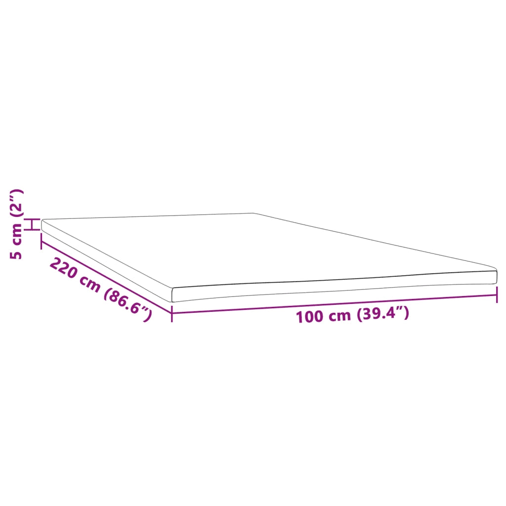Coprimaterasso 100x220x5 cm 4103499