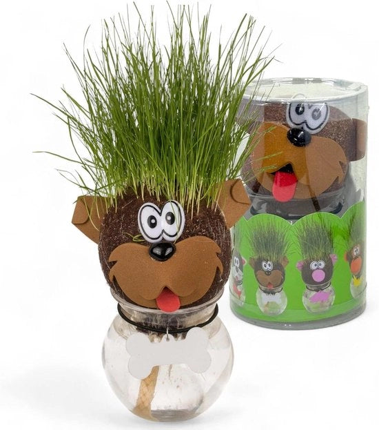 Grassoiai per bambini - divertente esperienza - giocattolo educativo - regalo - forma canina - inclusa vasca d'acqua e seme di erba - design carino