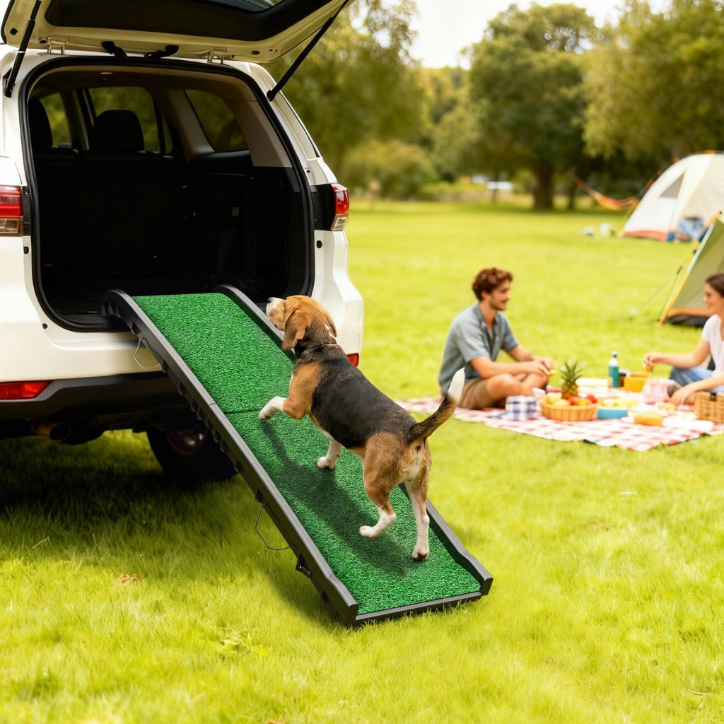 Rampa per Cane Pieghevole ¨C zephmum ¨C Verde 155 cm
