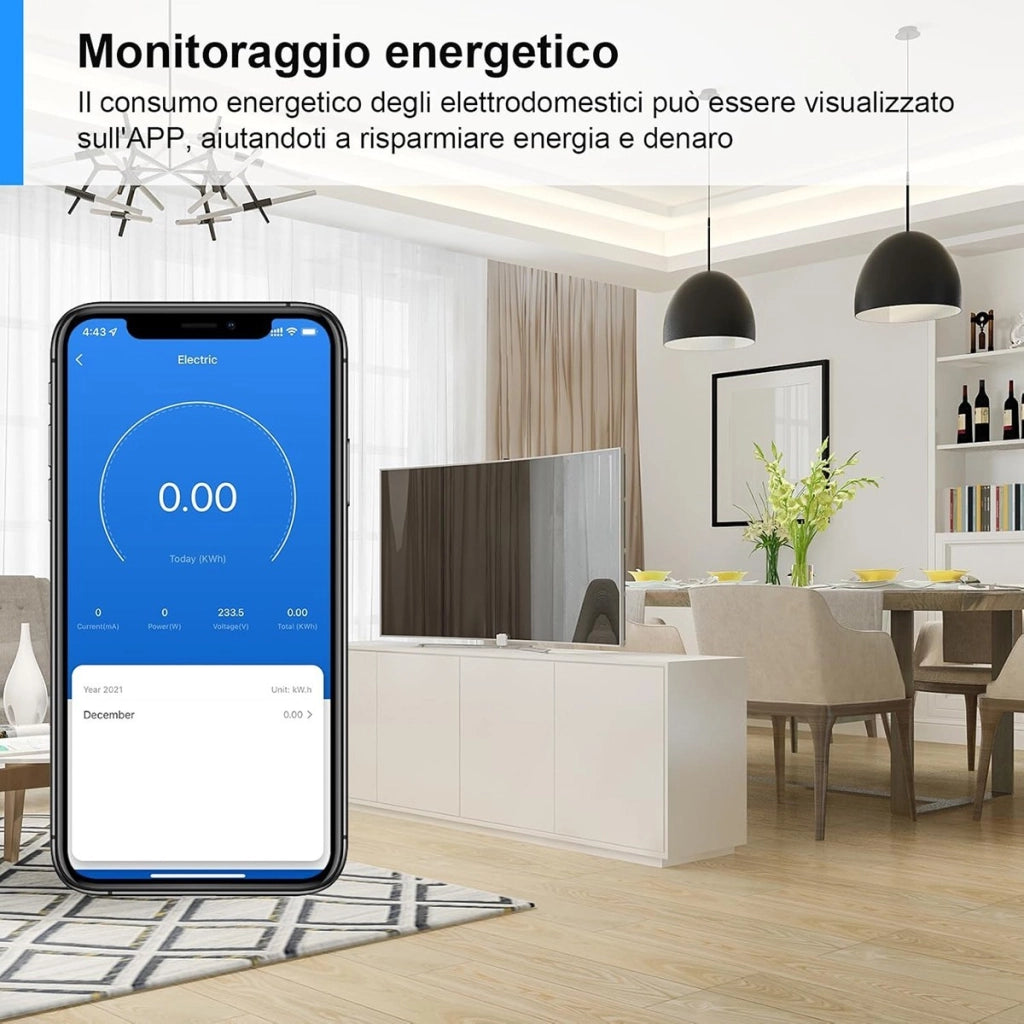 PRESA INTELLIGENTE WIFI 10A SMART LIFE TUYA PLUG SHUKO TIMER ALEXA GOOGLE HOME