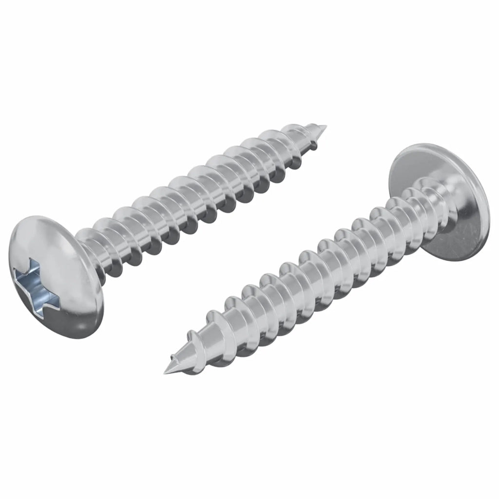 Chiodo autofilettante 2 pz Zincato 4 x 25 mm Acciaio CFW4307785