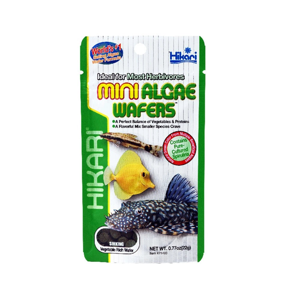 Hikari Tropical Mini Algae Wafers – mangime per Plecostomus e altri mangiatori di alghe Formato: 22 gr
