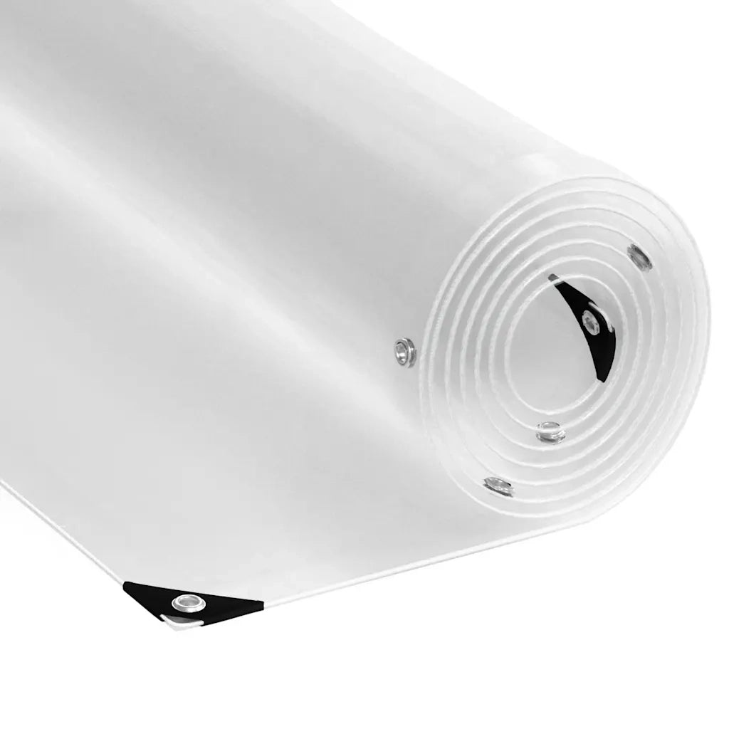 Telone Trasparente con Occhielli 1x6 m in PVC 4018587