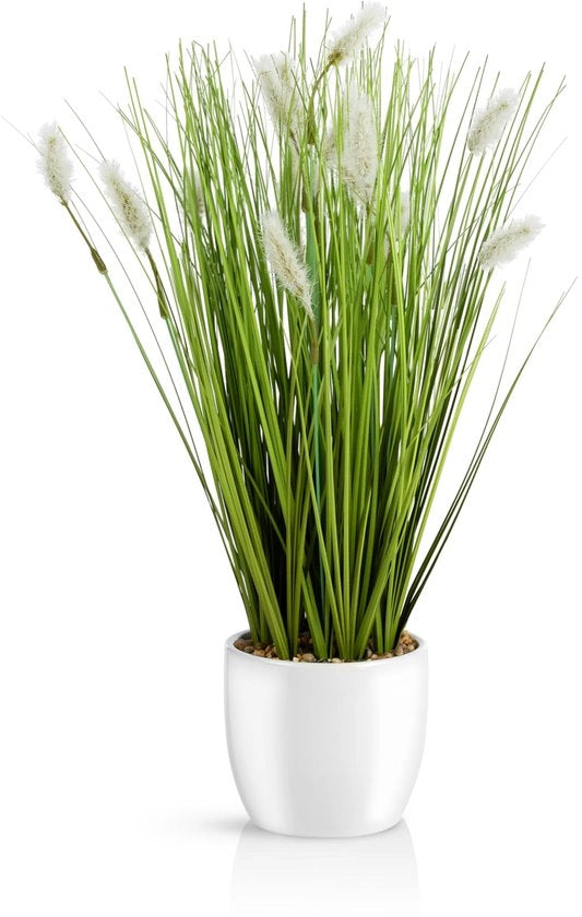 Kunstgras in un vaso ceramico bianco (42 cm): 

- Modello: 
- Dimensioni: 
- Materiale: 
- Colore: 
- Capacità di riempimento: 
- Dimensioni del vaso: 42 cm