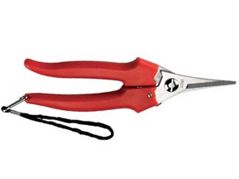 12blister forbice raccolta lama stretta 31329 - cm.19 cod:ferx.fer122030
