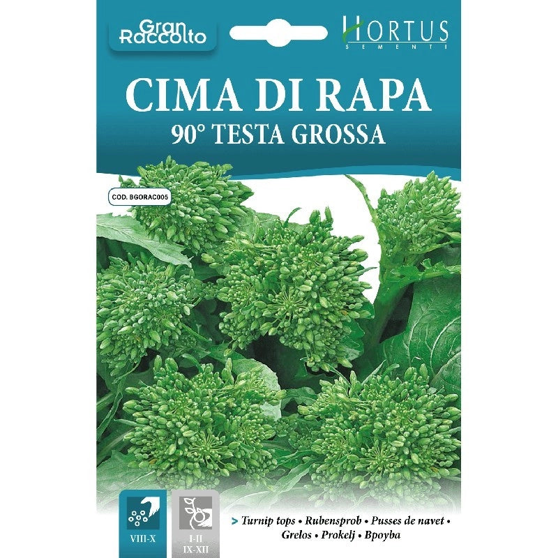Cima di rapa 90 testa grossa Gran Raccolto