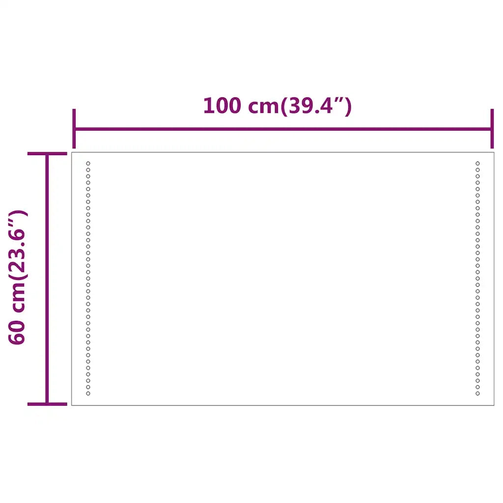 Specchio da Bagno con Luci LED 100x60 cm 151736