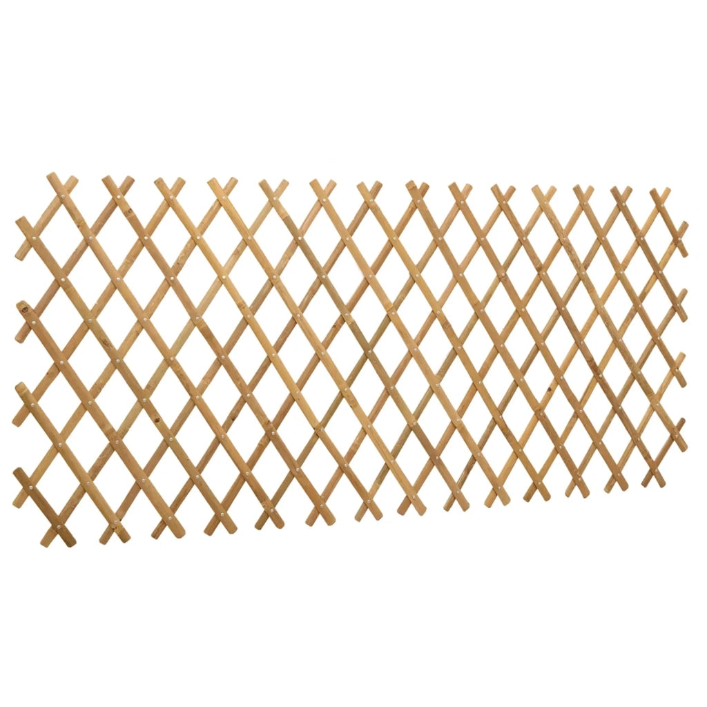 Recinto Trellis Espandibile 2 pcs Marrone Chiaro 100 x 105 cm 42028067