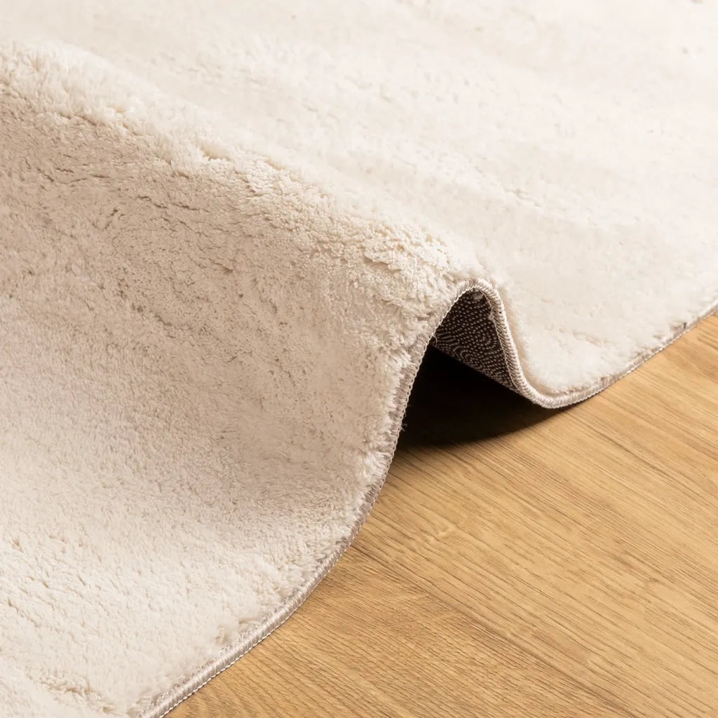 Tappeto del soggiorno | Tappeto a Pelo Corto HUARTE Morbido e Lavabile Beige 160x230 cm