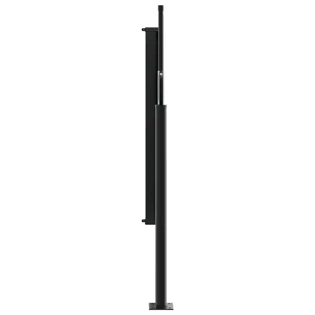 Tenda da Sole Laterale Retrattile Nera 100x300 cm 4004264