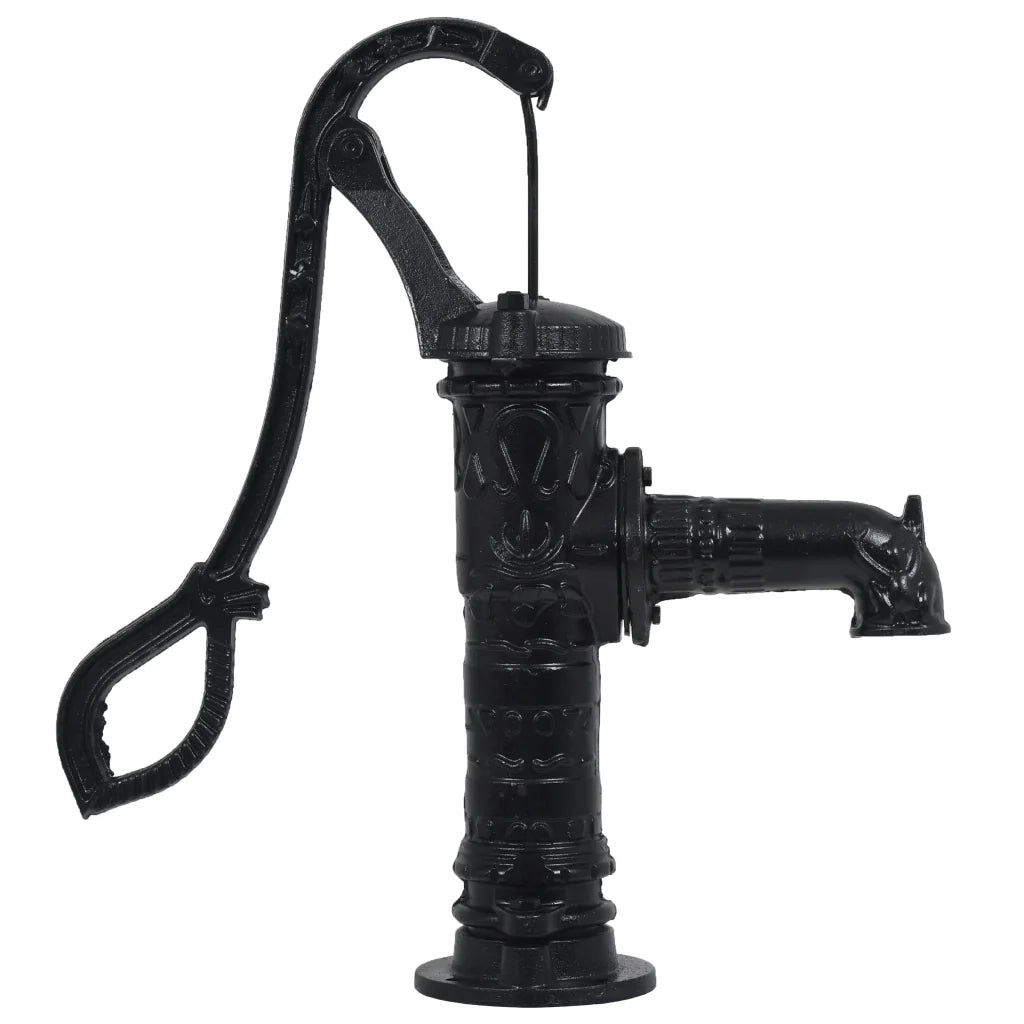 Pompa d'Acqua da Giardino con Supporto in Ghisa 275275