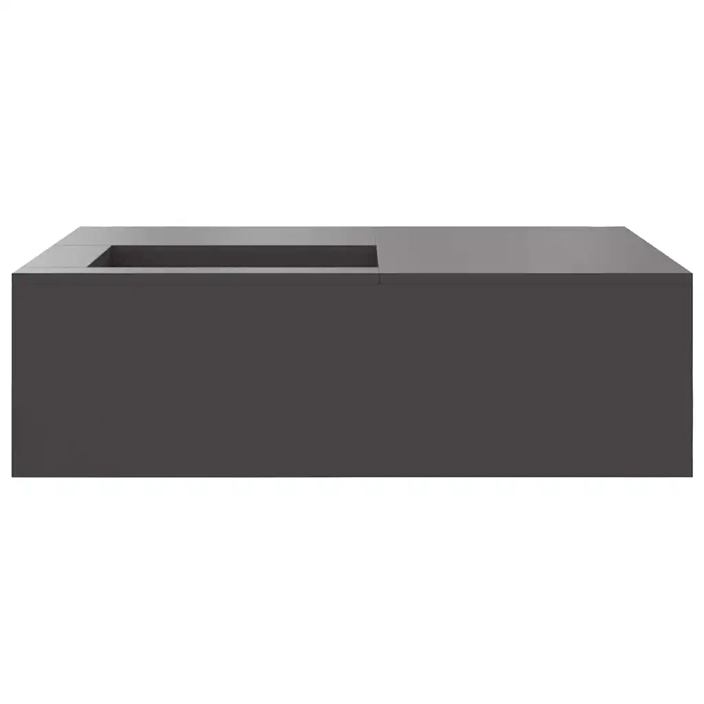 Focolare Nero 100 x 100 x 30 cm Acciaio