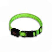 Collare per cani LED - visibilità e sicurezza, anti-perdita, anti-smarrimento, lampada USB a LED, collare illuminante - verde, taglia S