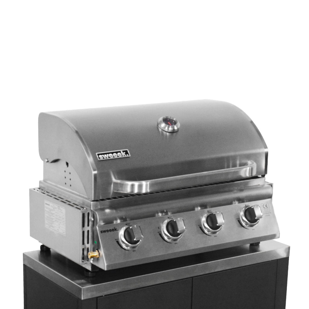 Barbecue a gas a 4 bruciatori, argento