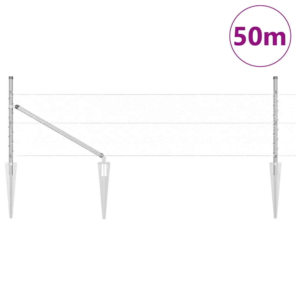 Palo della recinzione Argento 50 x 0,5 m (25 mm rete) Acciaio