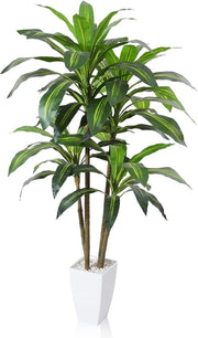Pianta Artificiale Drakenboom - 120 cm - Tropicale - Decorazione