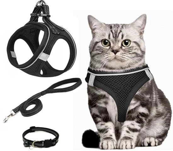 Harnas per cani adattabile - Cintura di sicurezza - Riga per conigli/gatti/puppi - Antiscappamento - Leggero - Comodo - Attrezzo per cani