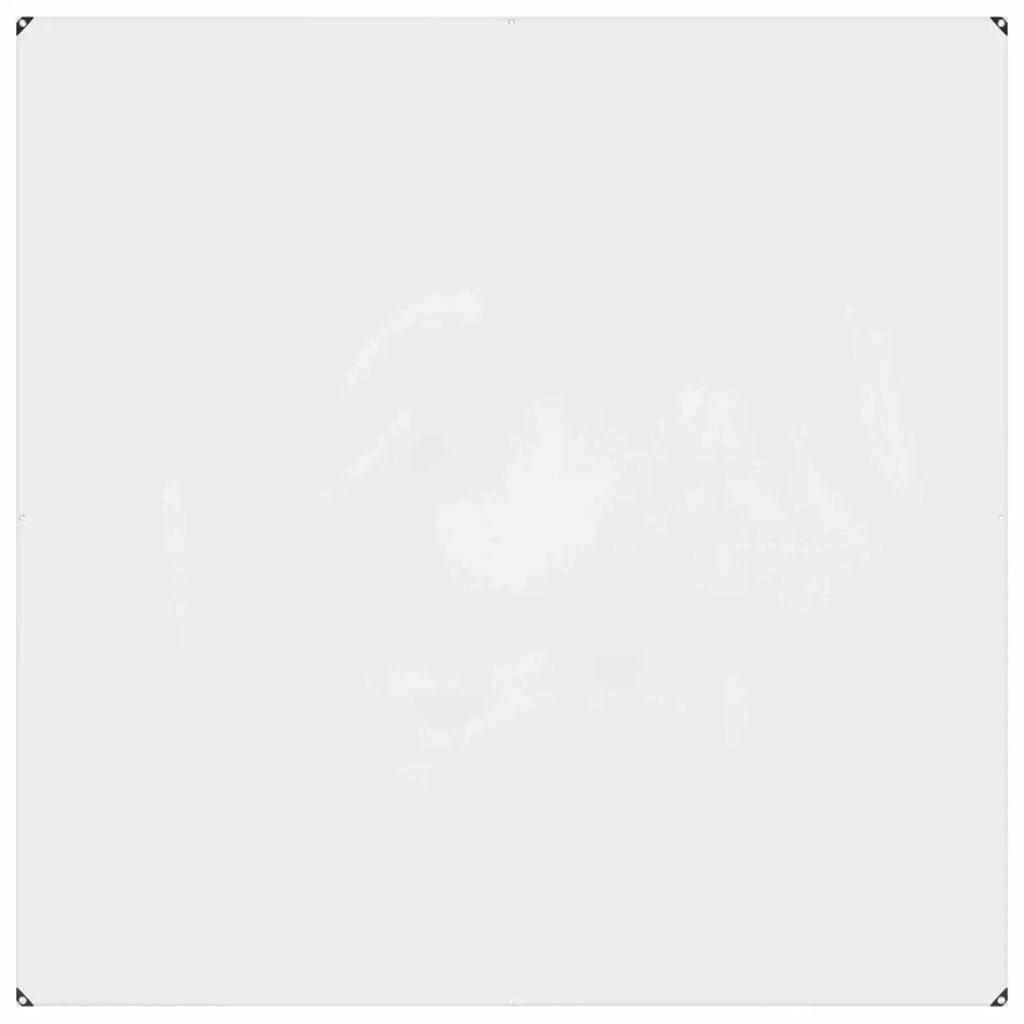 Copertura per Piante Trasparente 2 x 2 m PVC 3429346