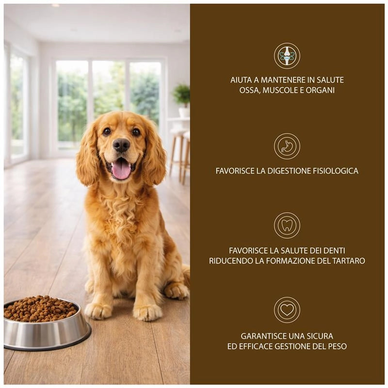 OPTIMO CROCCHETTE PER CANE CON POLLO IN FORMATO DA 10 KG
