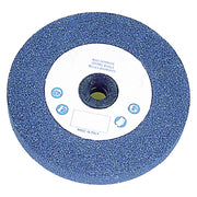 MOLA ABRASIVA ø 100 x 13 F. 13 gr.60  - PG