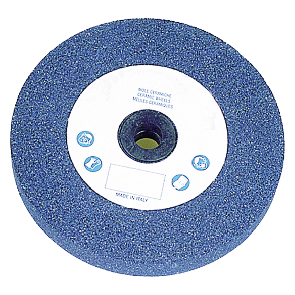 MOLA ABRASIVA ø 100 x 13 F. 13 gr.60  - PG