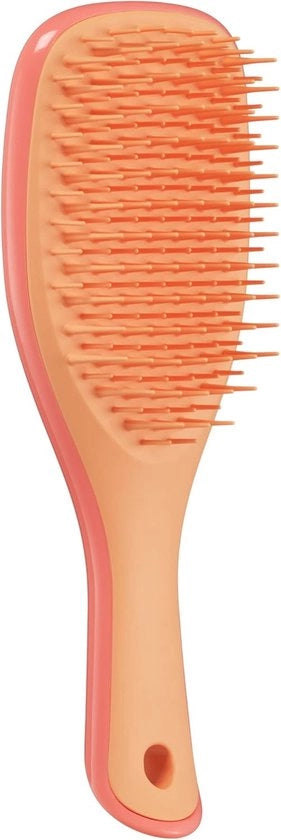 Mini detangling borstello per bambini e viaggiatori | Riduce nodi e rotture capillari | Aloe barba di zingaro