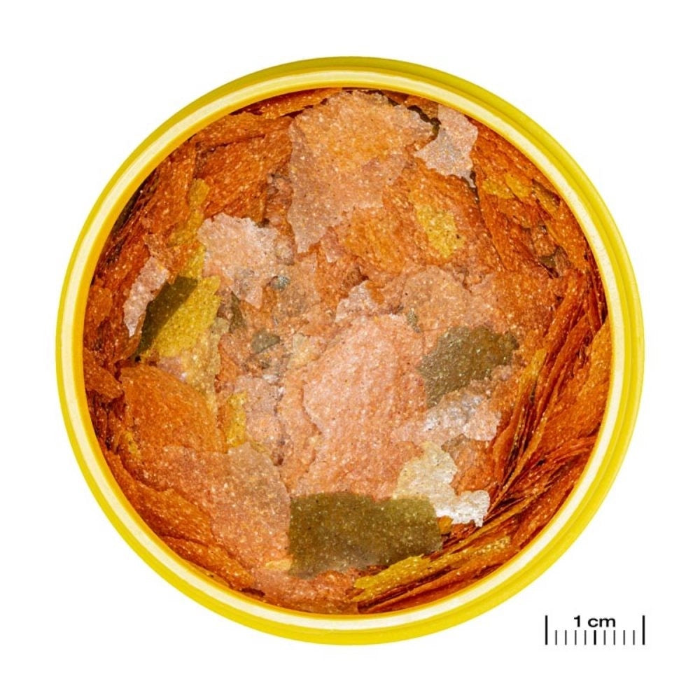 JBL ProNovo Tanganyika Flakes M - fioccato per Ciclidi da 8 a 20cm Formato: 1000 ml