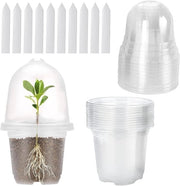 Set di vasi di propagazione trasparenti - Adatto per semi e steli - 10 pezzi - Ø9cm - Plastica