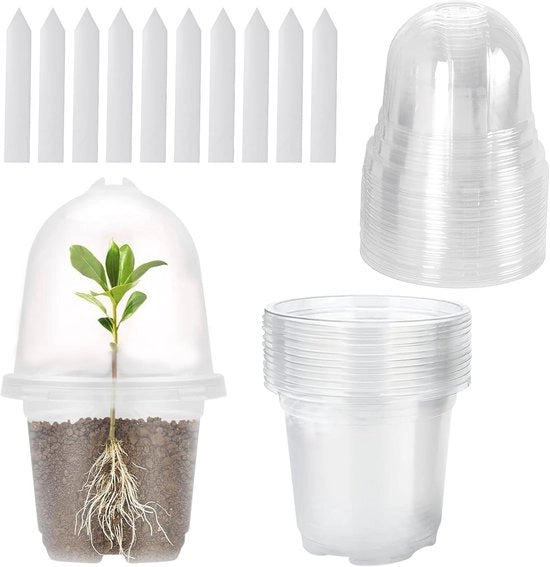 Set di vasi di propagazione trasparenti - Adatto per semi e steli - 10 pezzi - Ø9cm - Plastica