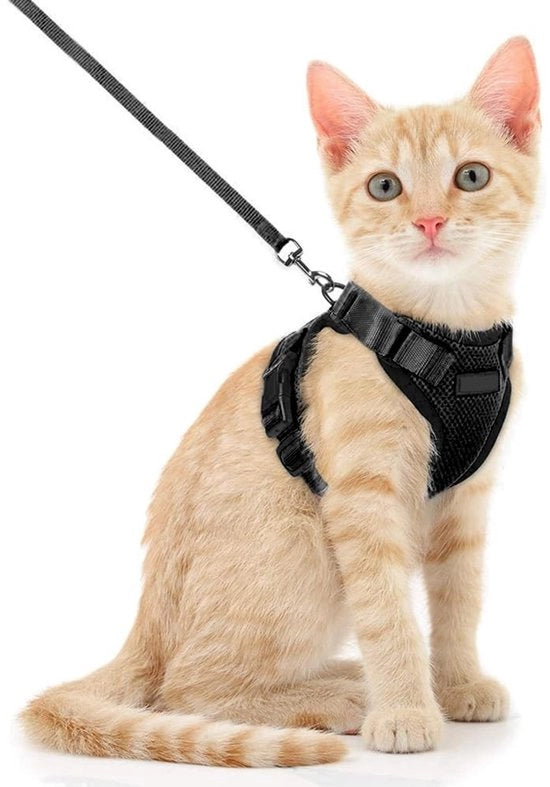 Fascia di Sicurezza per Gatti - Adattabile - Lunghezza di Cintura 150 cm - Per Gatti Piccoli/Medios Grandi/Grandi - Escursioni/Viaggi - Nero - Cinturino per Cani