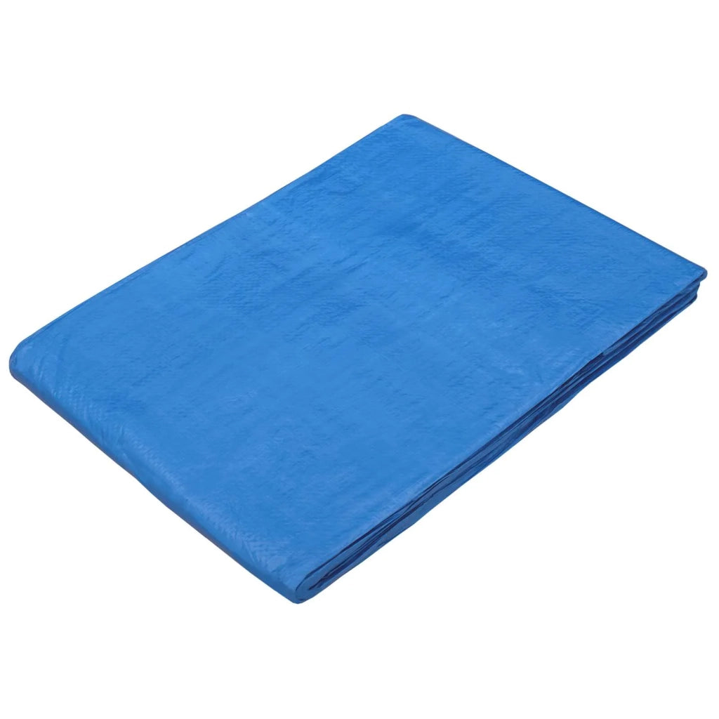 Telo con Occhielli Blu 6 x 10 m 90 gsm PE 42039490