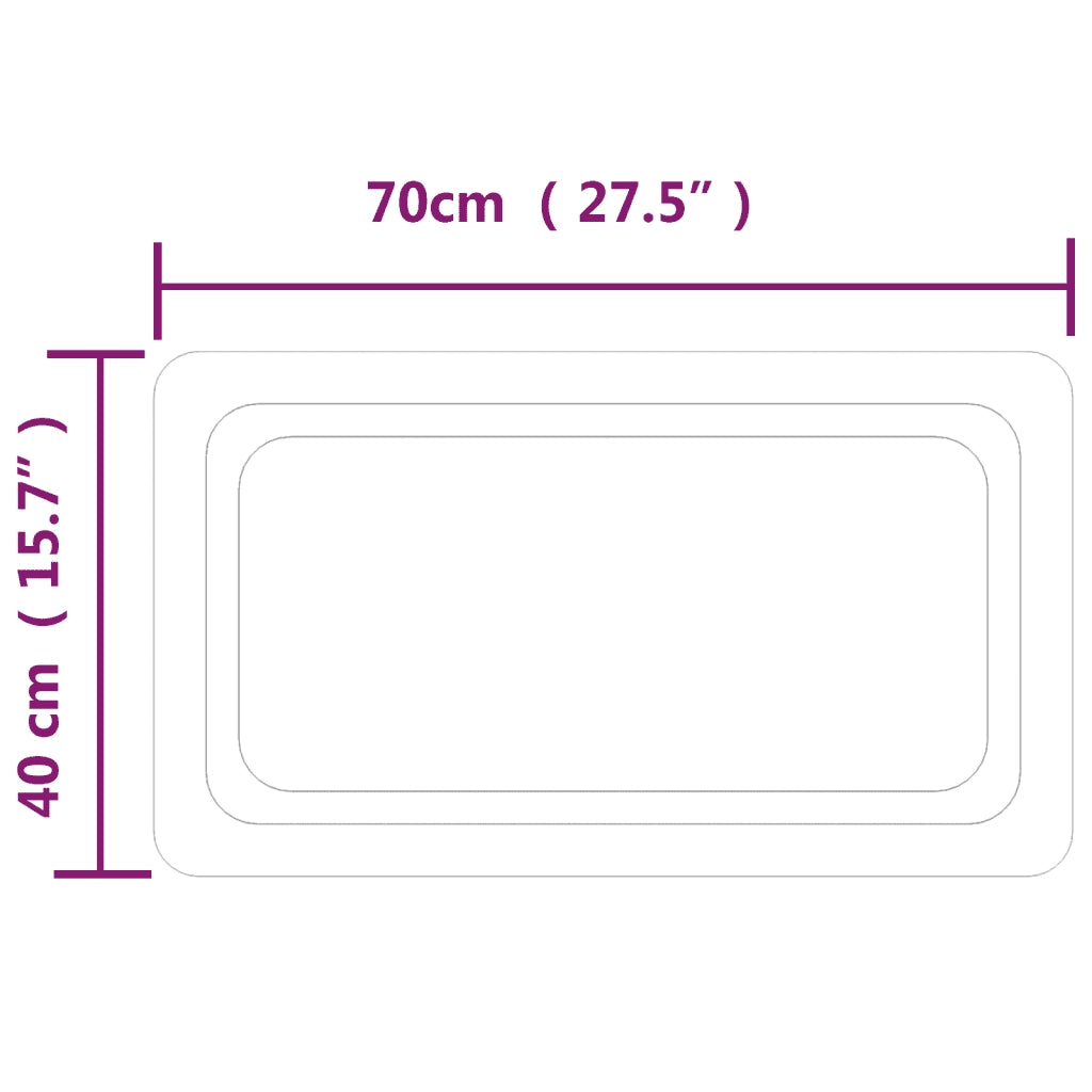 Specchio da Bagno con Luci LED 40x70 cm 3154092