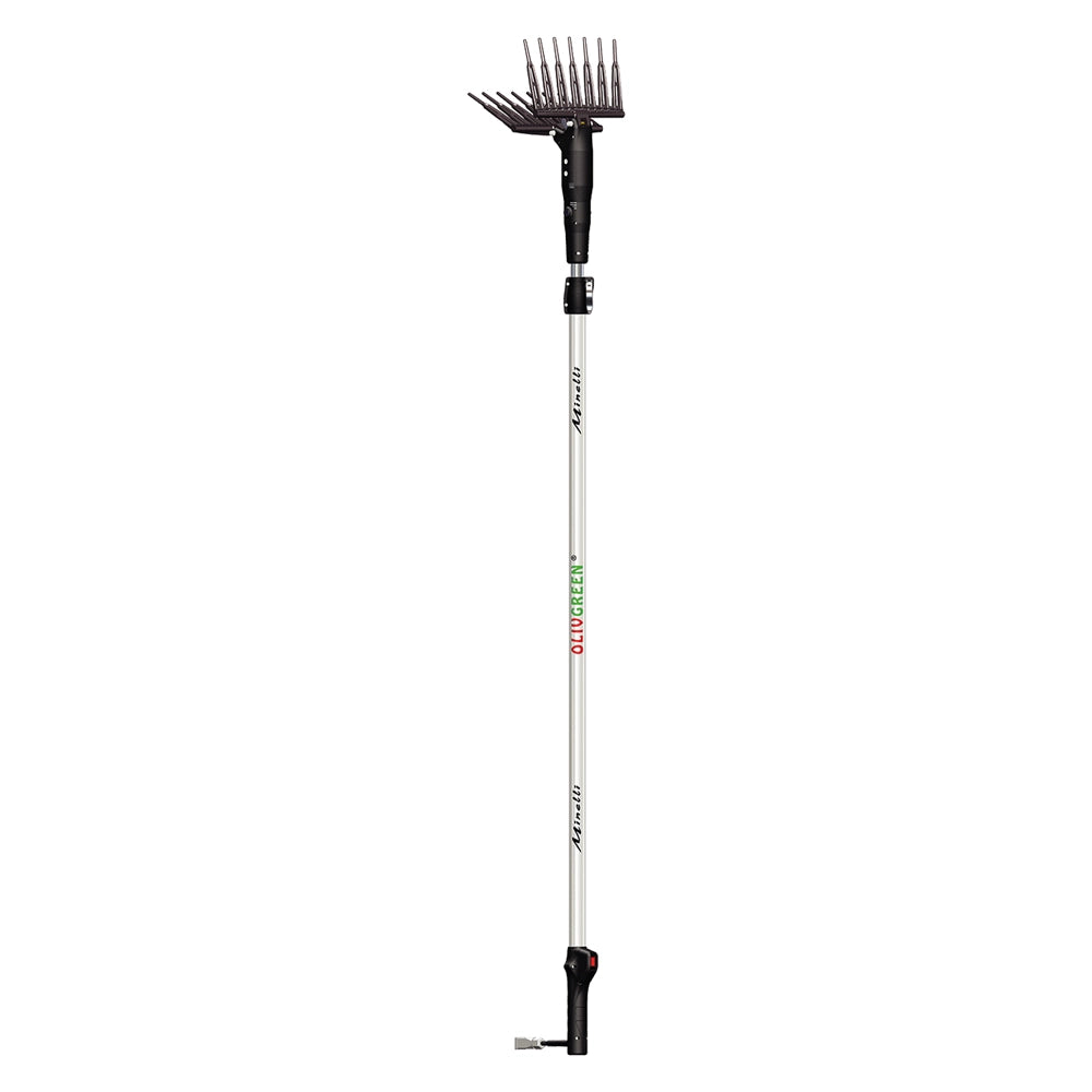 ABBACCHIATORE ELETTRICO 'OLIVGREEN A3' motore 12V  - MINELLI