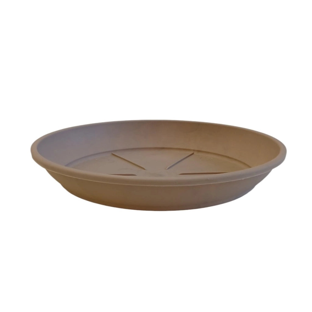 SOTTOVASO COLOR D.24XH3,8CM ASSORTITO