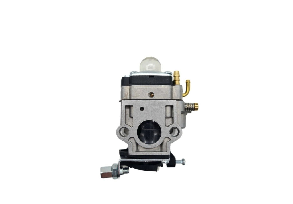 Carburatore per decespugliatore 43cc 52cc foro 15mm con filtro carburante GC430