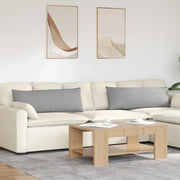 Cuscini da Divano 2 pcs Grigio Nuvola 120 x 40 cm Tessuto 42013795