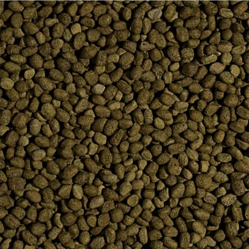 Tropical Pond koi Spirulina Pellet Size M 1000ml/350gr - Mangime super premium con spirulina granulometria medio grande