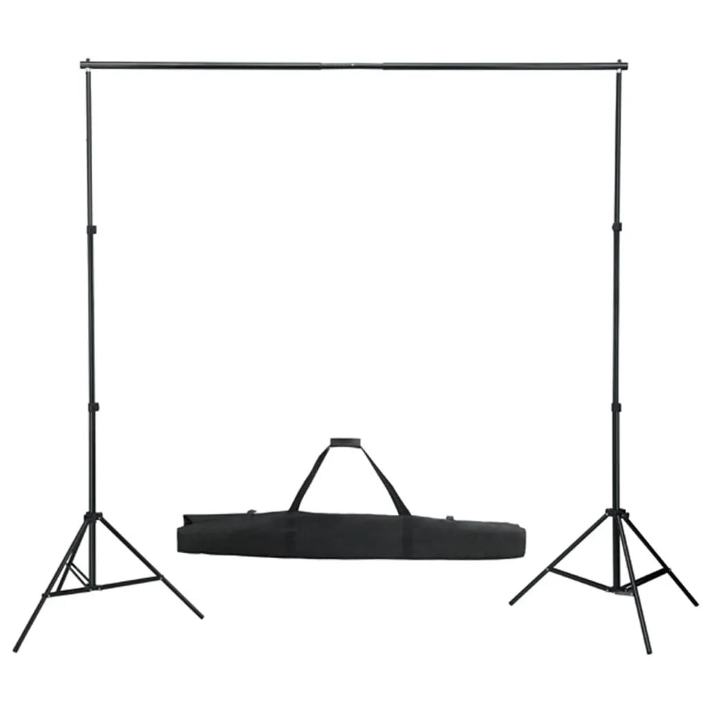 Kit per Studio Fotografico con Set Luci, Fondale e Riflettore 3067056