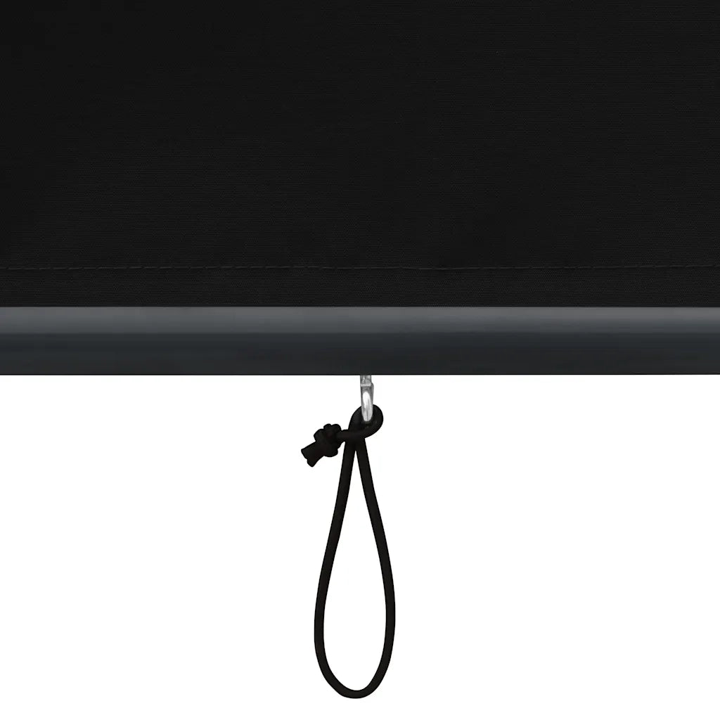 Tenda a Rullo per Esterni 120x250 cm Antracite 145964
