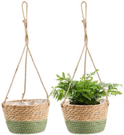 Pianta Orizzontale - Zea Naturale - Set da 2 pezzi