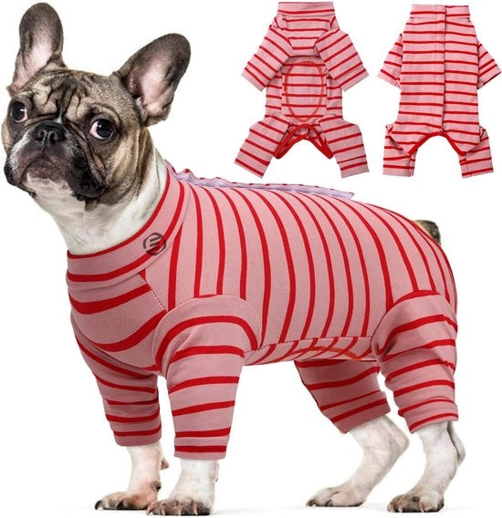 Vestiti da Notte per Cani