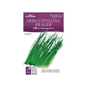 Erba Cipollina DB