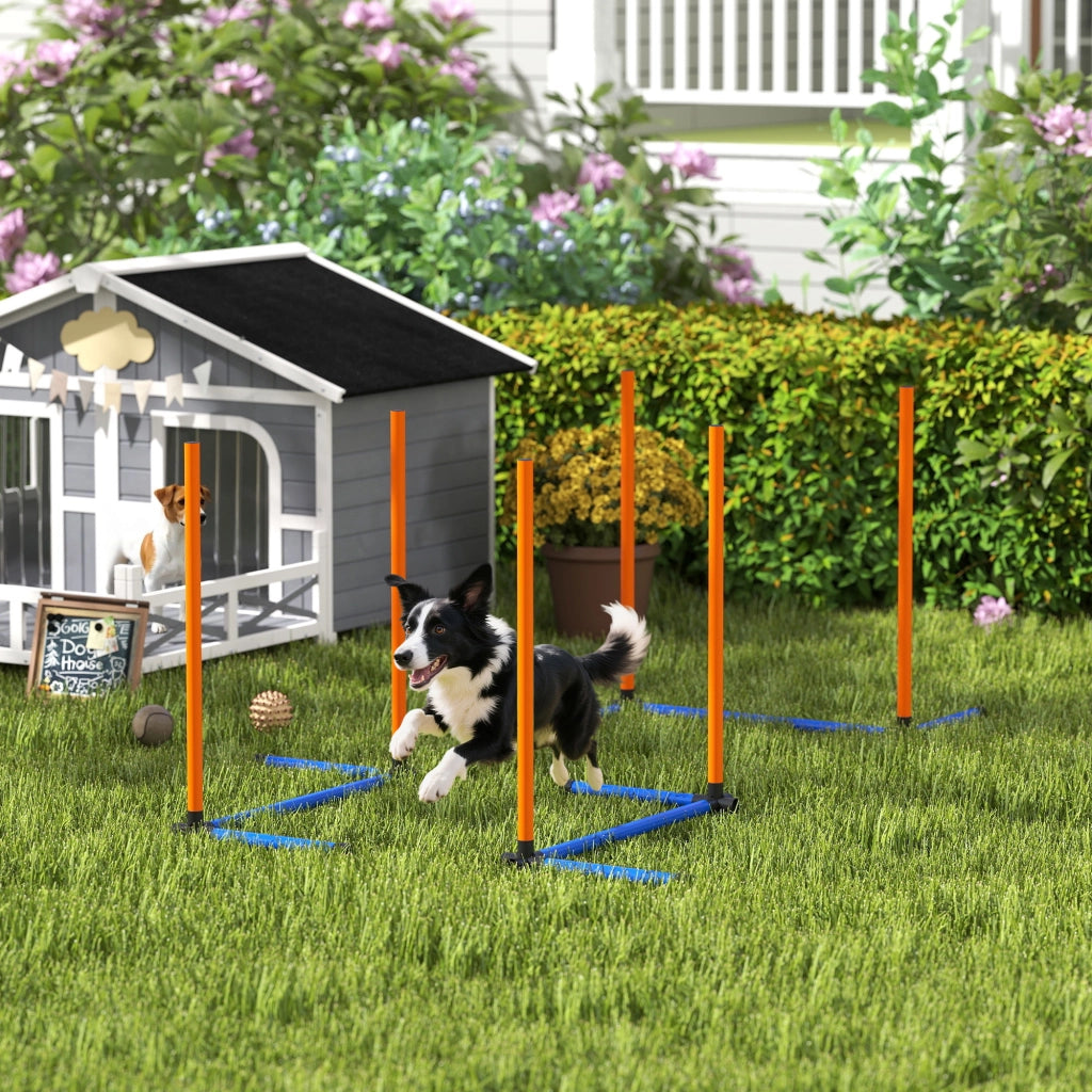 Set Agility per Cani ¨C Minimal ¨C 3 Pezzi con Slalom e Borsa Arancione