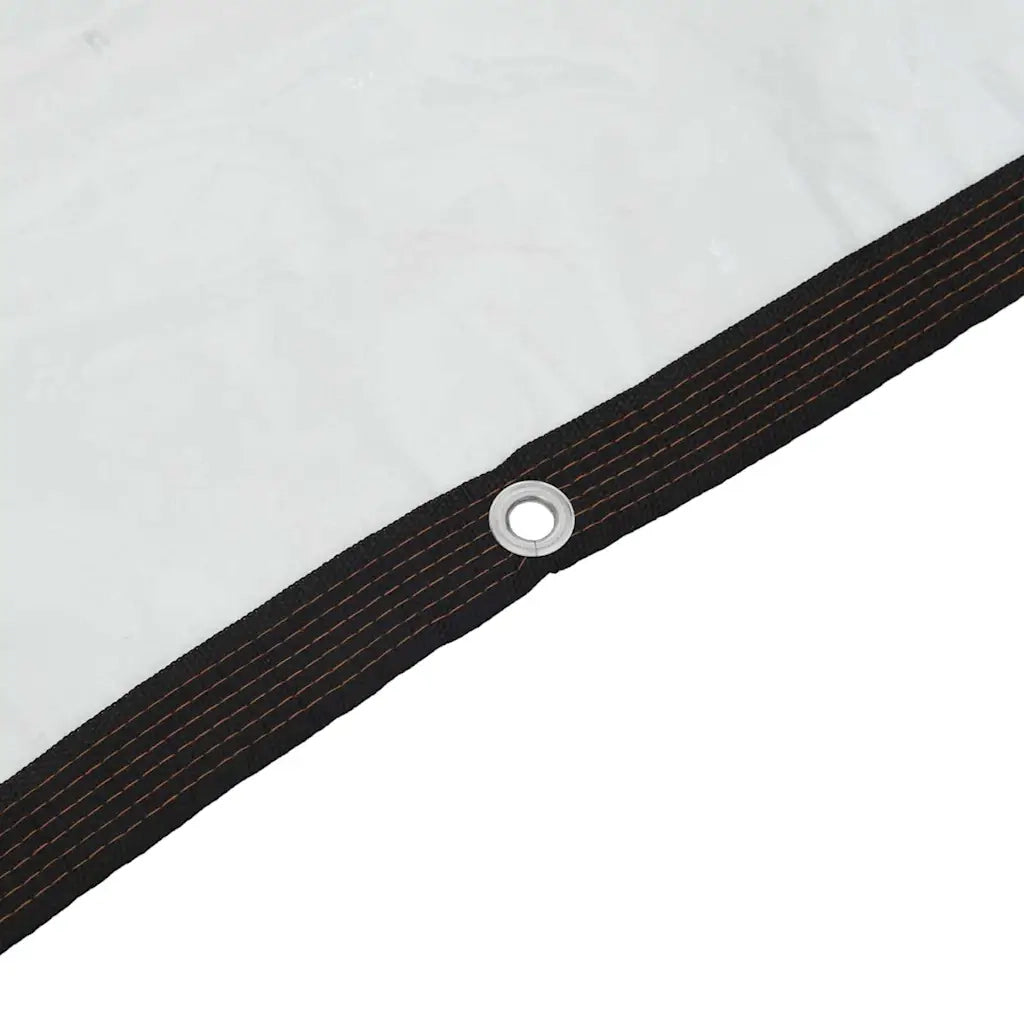 Telone Trasparente con Occhielli 1x10 m in Polietilene 4018545
