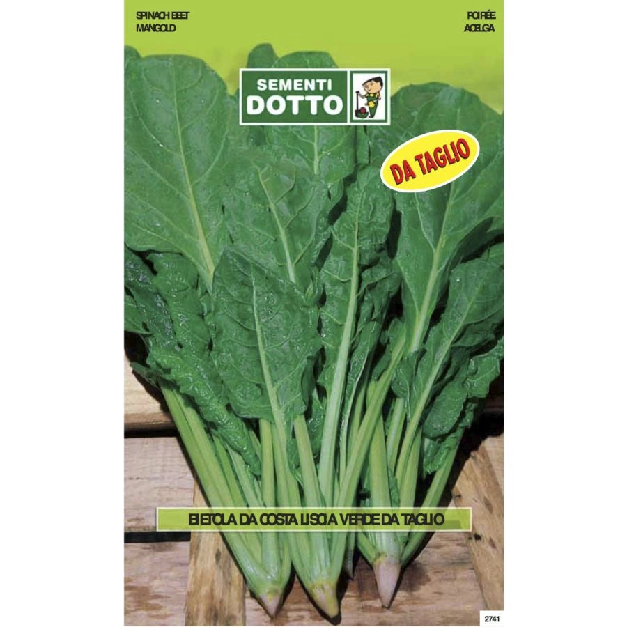 SEMENTI EXTRA_BIETA LISCIA VERDE DA TAGLIO