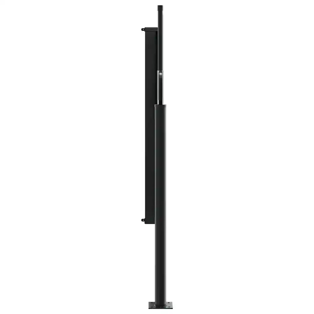 Tenda da Sole Laterale Retrattile Nera 100x300 cm 4004264