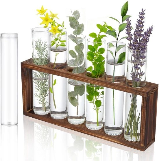 Set di 7 flaconi trasparenti, 30 x 150 mm, flaconi in vetro, flaconi di reazione, vaso per fiori, flaconi di reazione con maniglia, legno per fiori, spezie, decorazione per la cucina, liquidi per uso personale